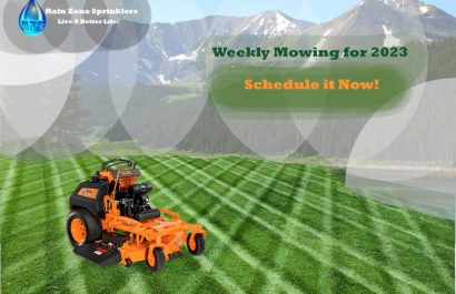 #lawn-care#mowing#Buy-for-seasson-2023